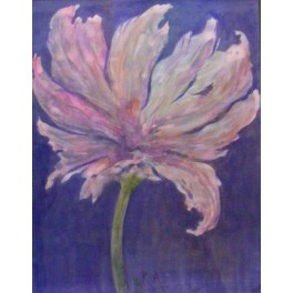 Květ magnolie